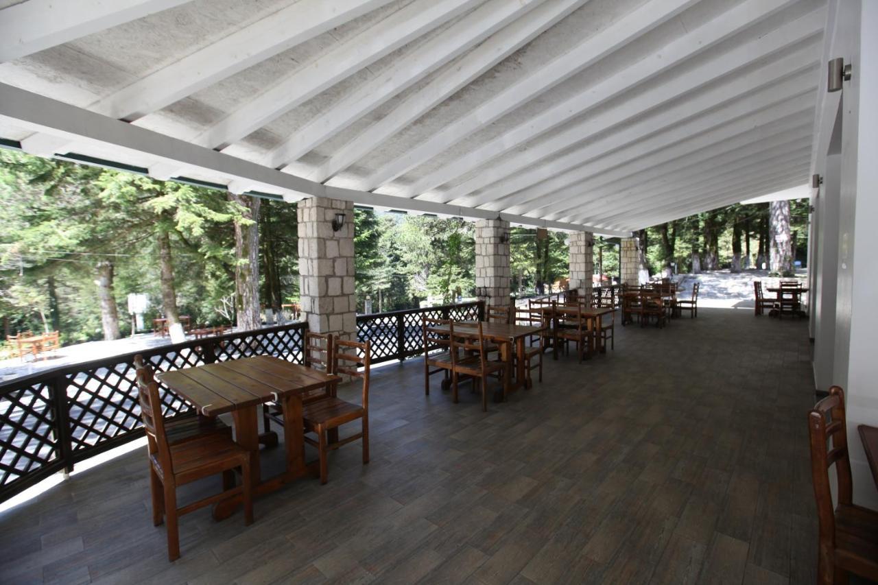 Bujtina Uji I Panjes, Log Cabins Dukat Екстер'єр фото