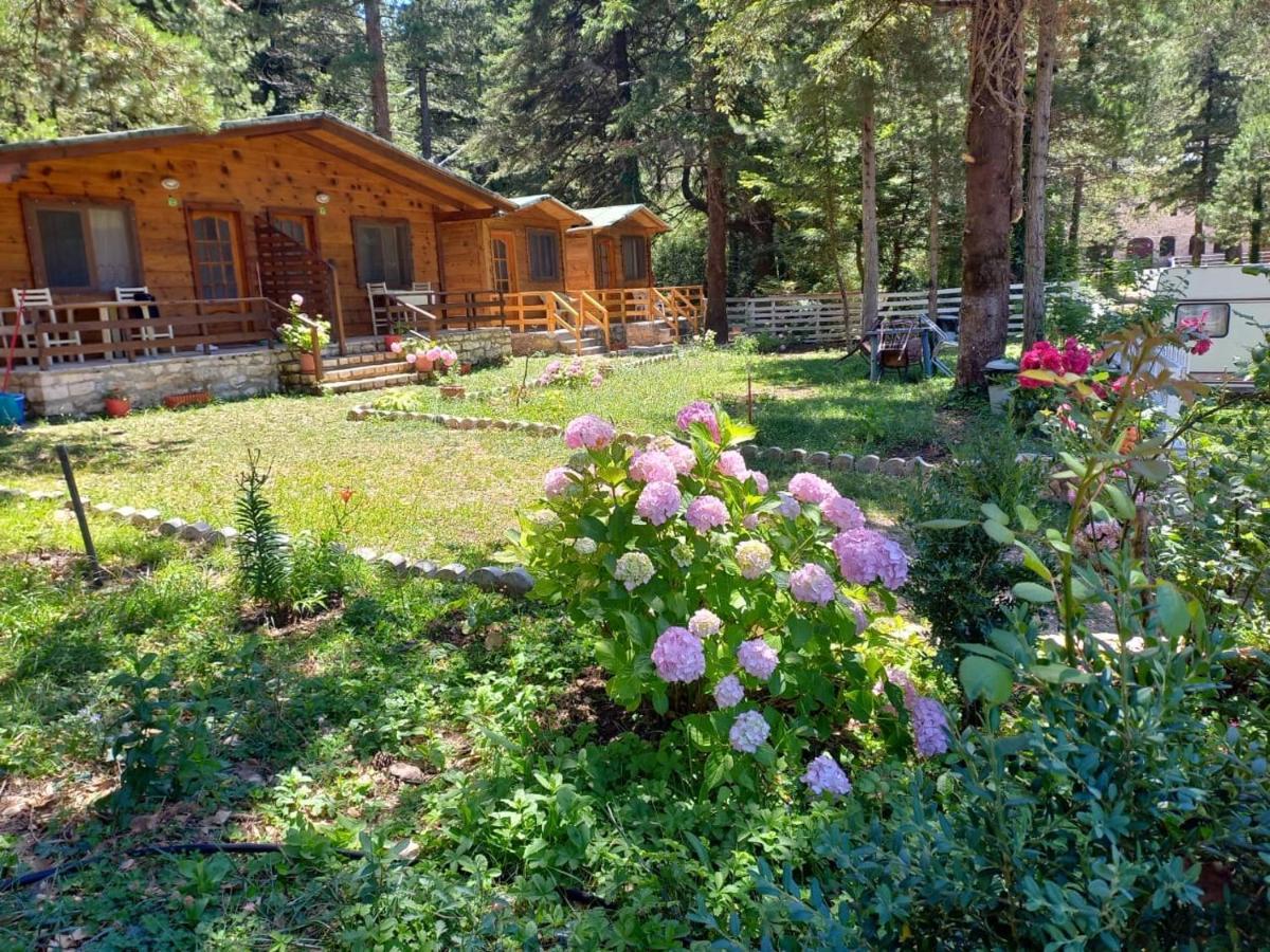 Bujtina Uji I Panjes, Log Cabins Dukat Екстер'єр фото