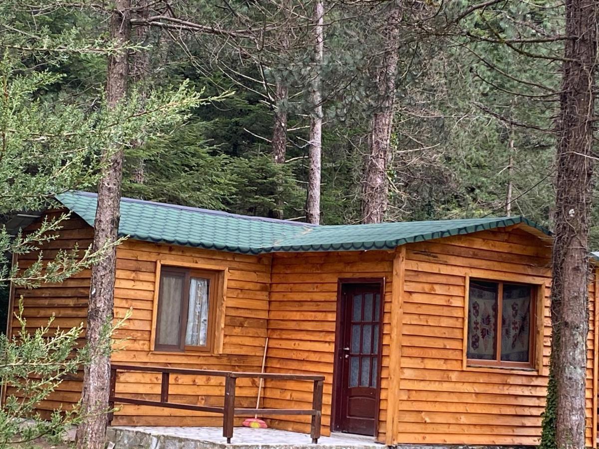 Bujtina Uji I Panjes, Log Cabins Dukat Екстер'єр фото