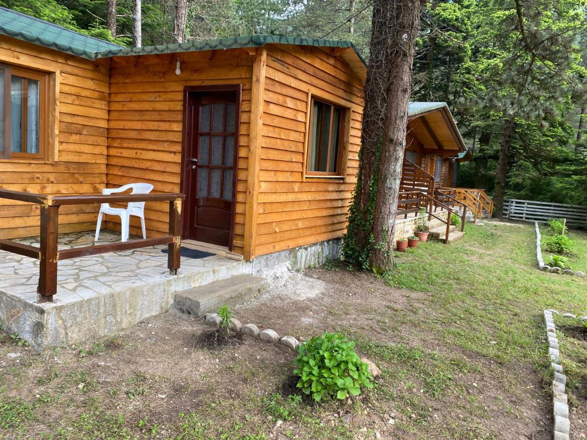Bujtina Uji I Panjes, Log Cabins Dukat Екстер'єр фото