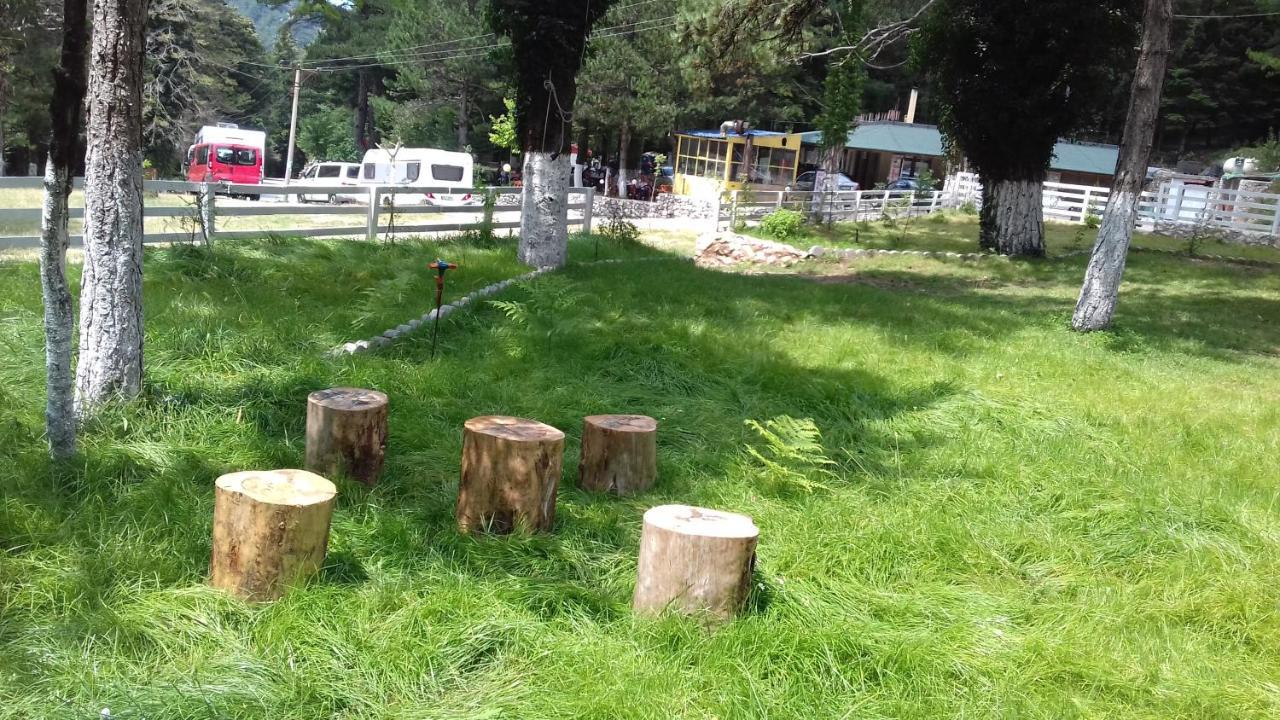 Bujtina Uji I Panjes, Log Cabins Dukat Екстер'єр фото